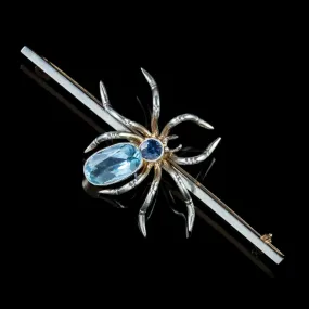 Antique Edwardian Spider Brooch Platinum Sapphire Aquamarine Scottish Boxed